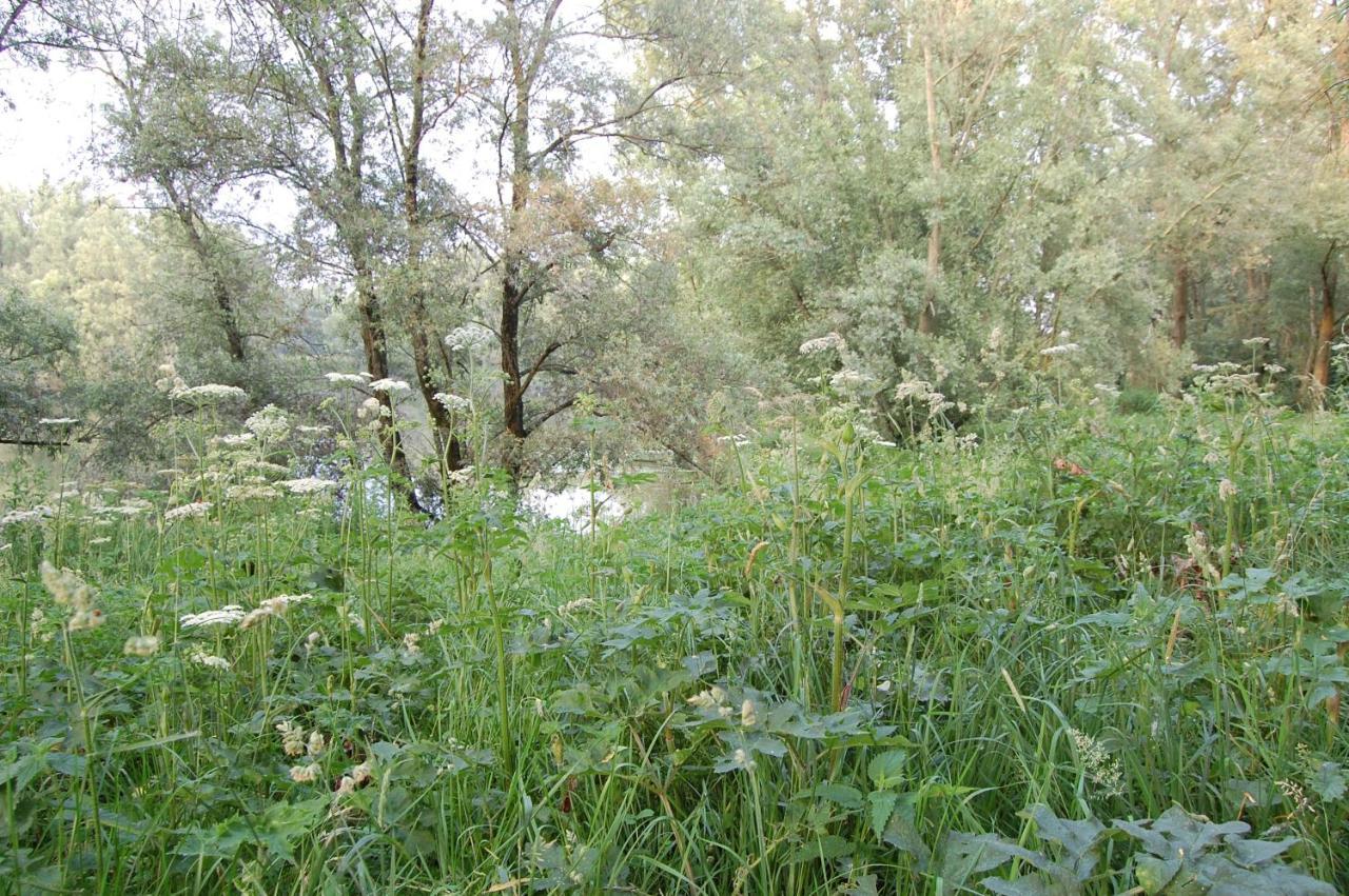 Pipowagen/Paardentram Villa Dreumel Luaran gambar
